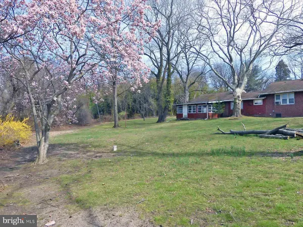 a view of yard with trees