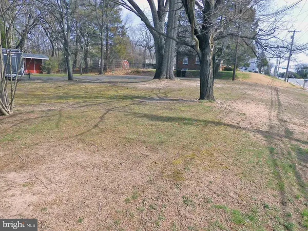 a view of a yard with trees
