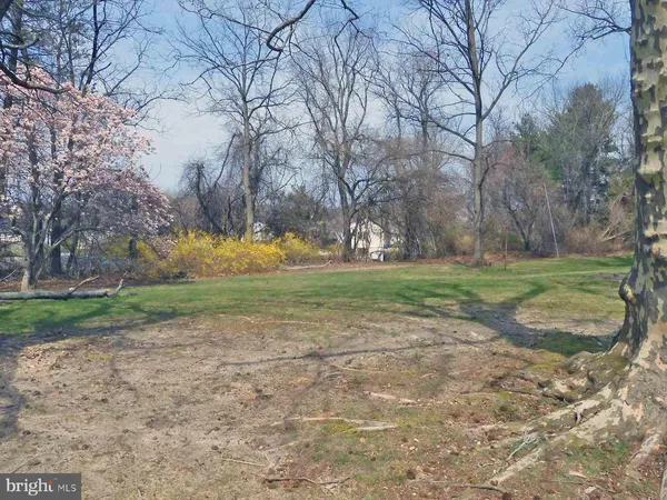 a view of a yard with tree s
