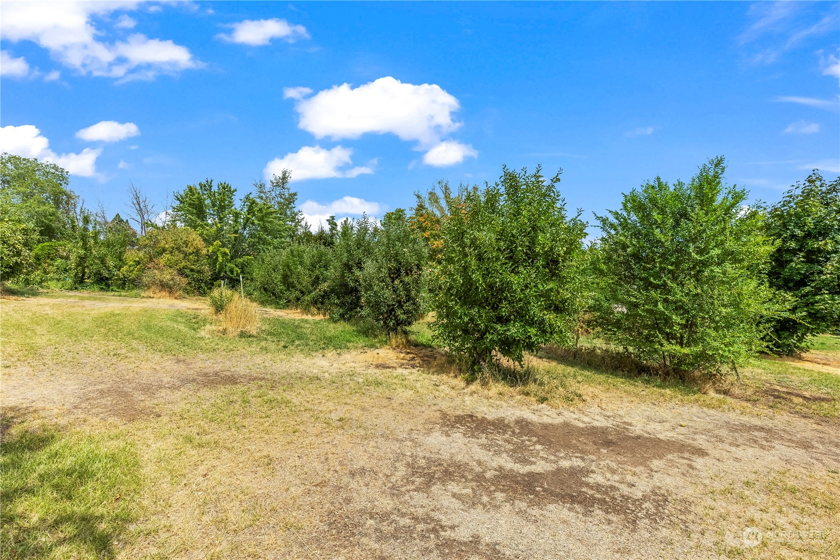 10502 Estes Road Yakima, WA 98908 - Photo 33 of 35