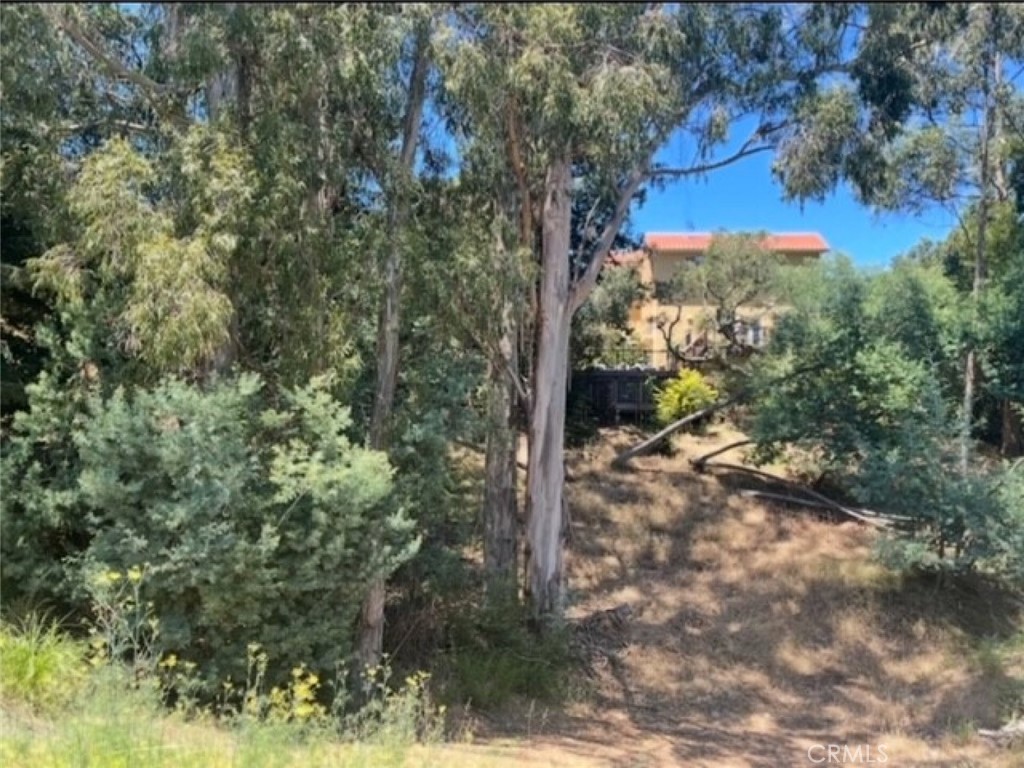 0 Sheridan Road Oakland, CA 94618 - Photo 1 of 4 a view of a yard