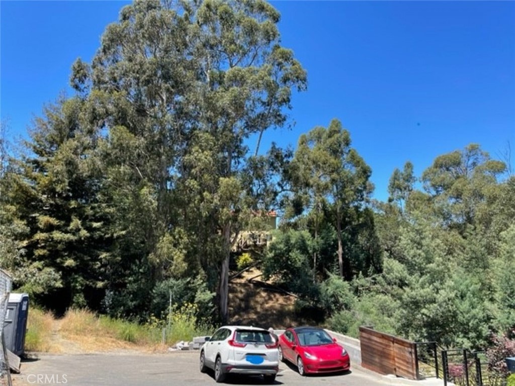 0 Sheridan Road Oakland, CA 94618 - Photo 4 of 4 a car parked in front of a road with large trees