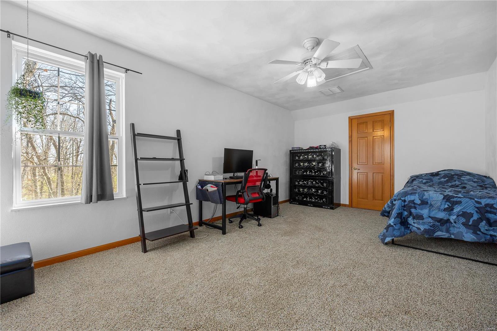 4647 Timber View Drive Waterloo, IL 62298 - Photo 37 of 58