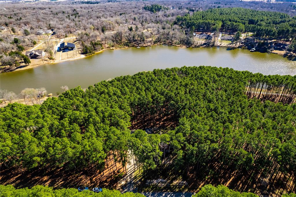 8489 Toler Pointe Larue, TX 75770 - Photo 3 of 25