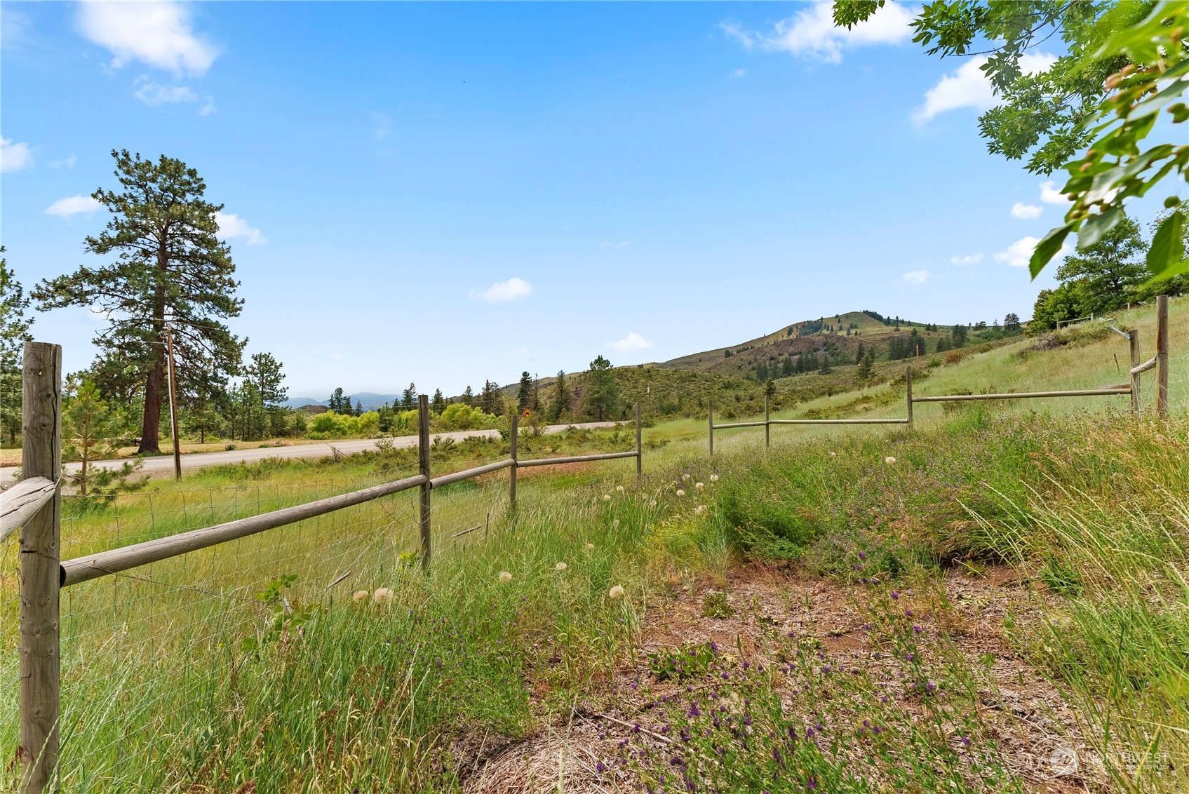 569 West Chewuch Road Winthrop, WA 98862 - Photo 8 of 35 Gallery Image 8