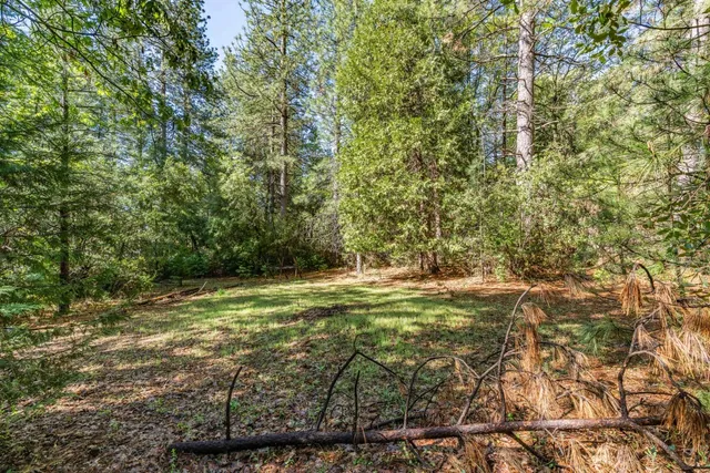 a view of a yard with a tree