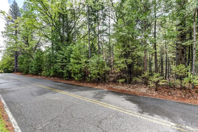 a view of a field with plants and trees