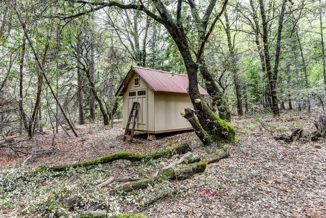 a view of a backyard with large trees