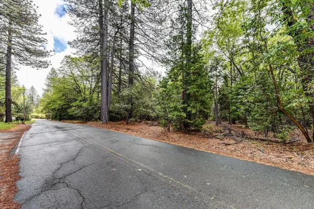 a view of a yard with plants and trees