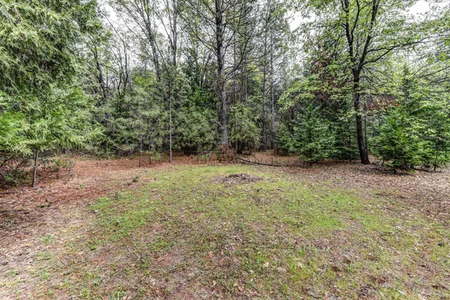 a view of outdoor space and yard