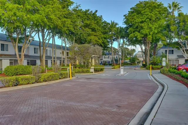 a view of a park with plants and trees