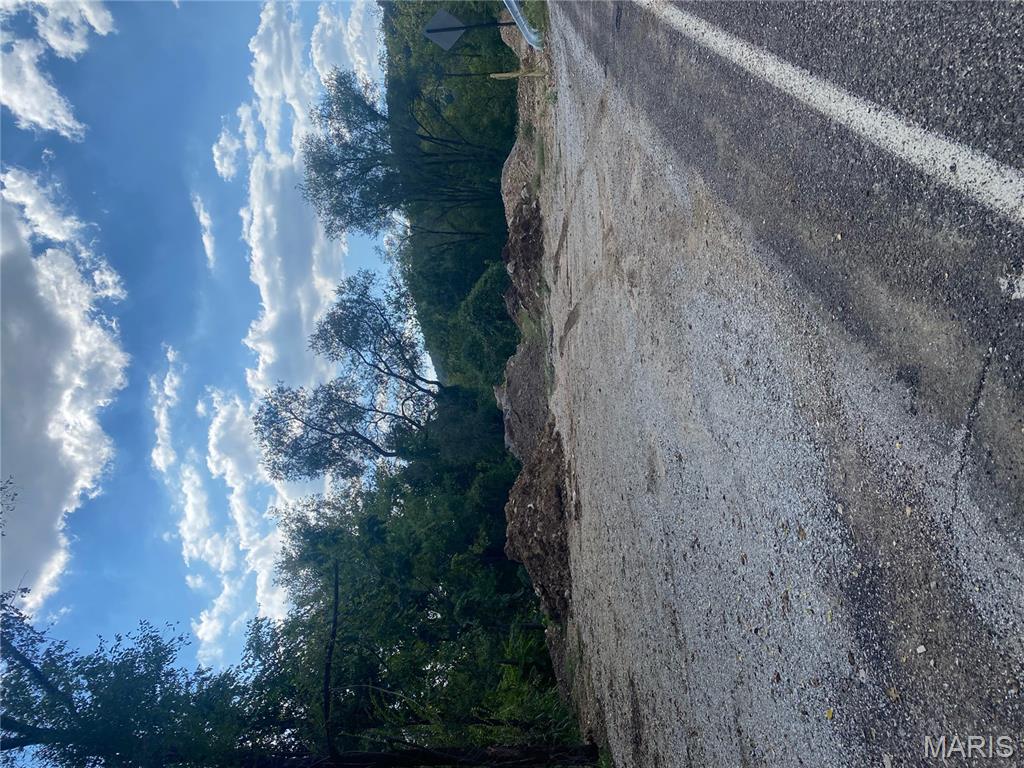 4595 Indian Springs Road House Springs, MO 63051 - Photo 11 of 17