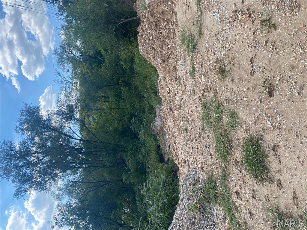 4595 Indian Springs Road House Springs, MO 63051 - Photo 10 of 17