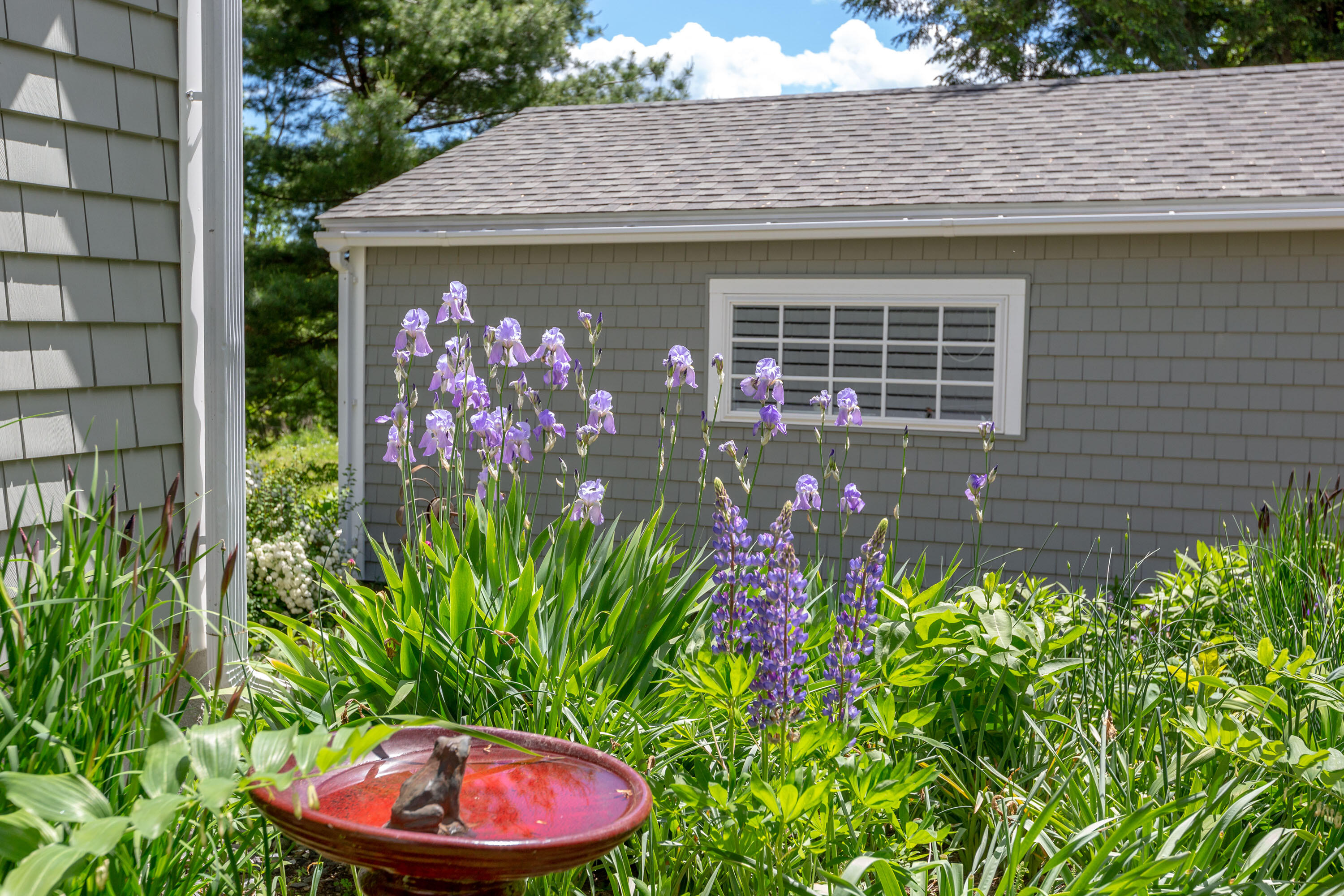 224 Birch Point Road Wiscasset, ME 04578 - Photo 72 of 79 Birch Point_Dunbar_72