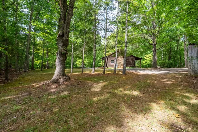 a view of backyard with tree