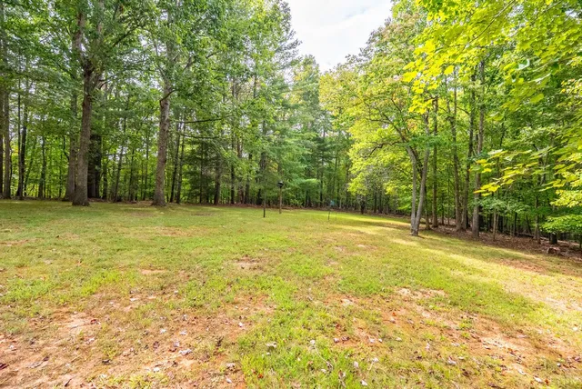 a view of a swimming pool and trees in the background