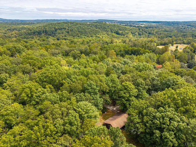 a view of a city with lush green forest