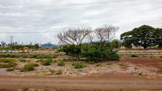 a view of a yard with wooden fence