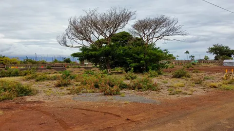 a view of a yard with an trees