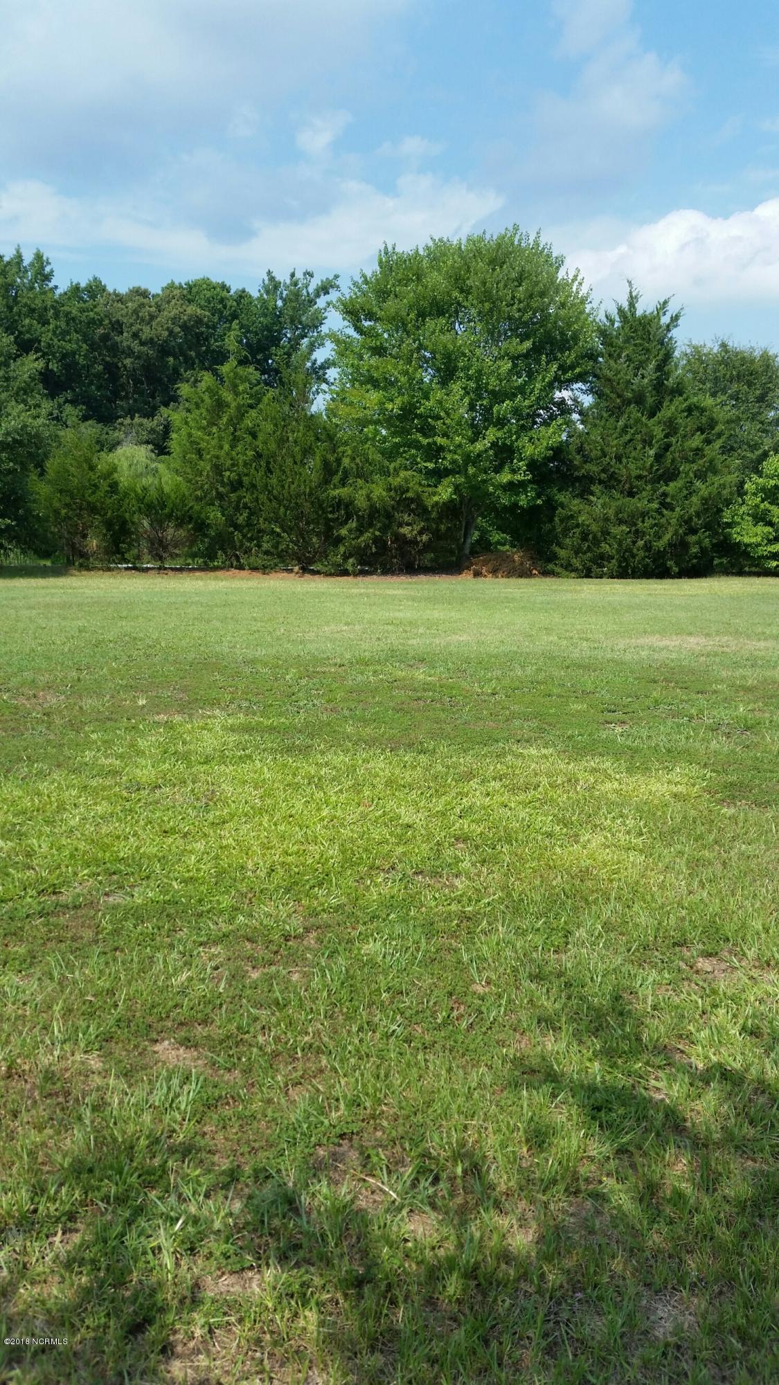 Lot 3 Fire Tower Road Bailey, NC 27807 - Photo 1 of 1 20180712_155737_resized