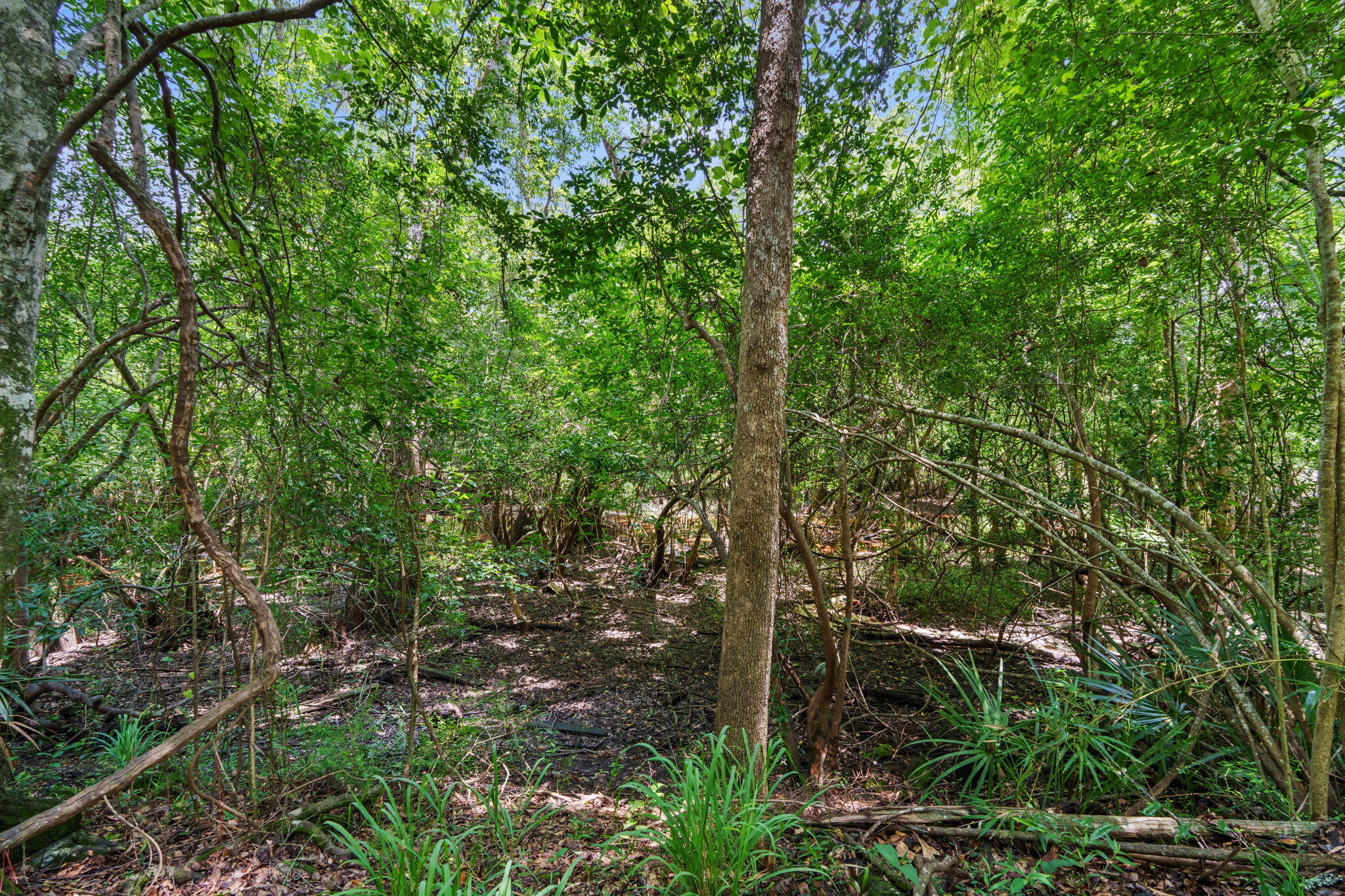 92 Howell Bluff Road Ponce de Leon, FL 32455 - Photo 32 of 41 33-web-or-mls-92 howell-33