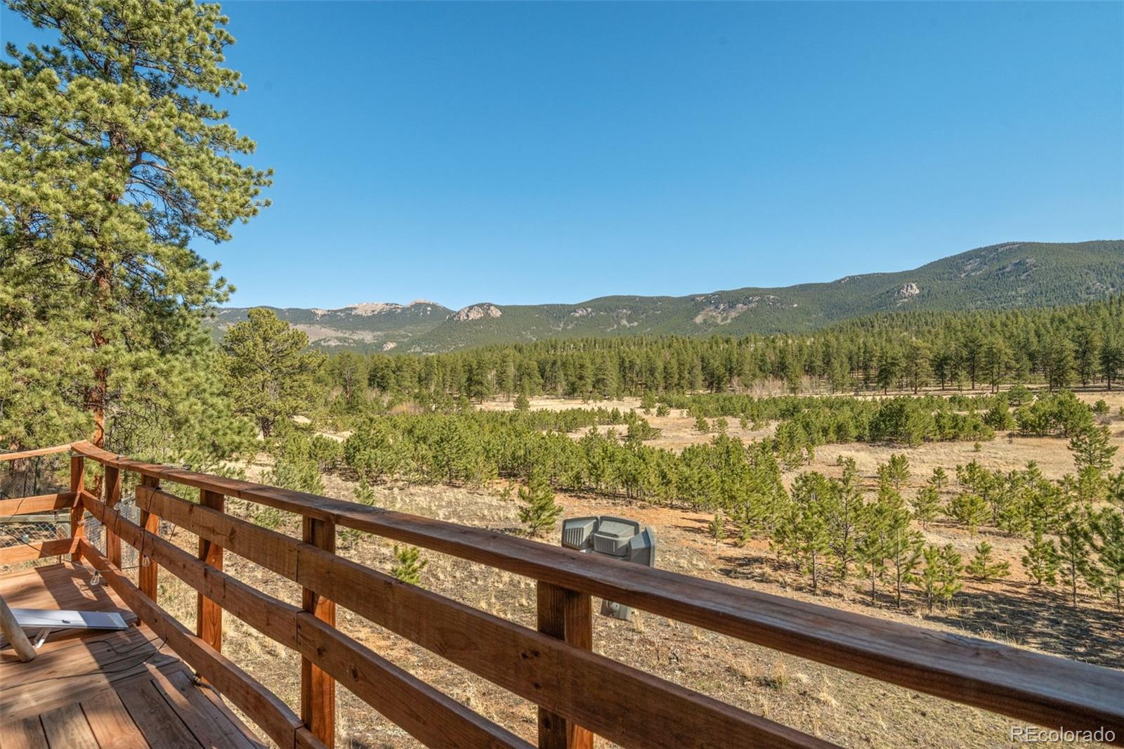 88 Neal Street Bailey, CO 80421 - Photo 13 of 25