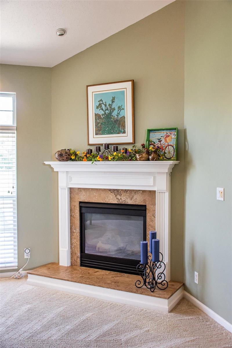 384 Kings Ridge Boulevard O'Fallon, IL 62269 - Photo 38 of 82
