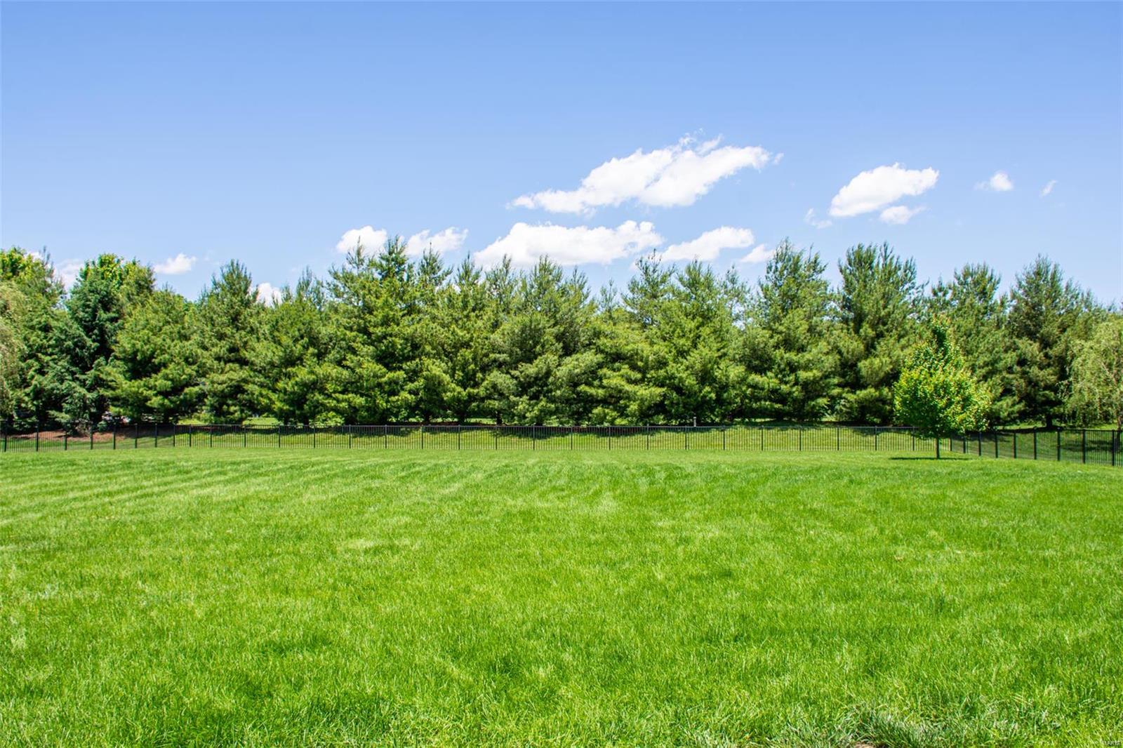 384 Kings Ridge Boulevard O'Fallon, IL 62269 - Photo 78 of 82