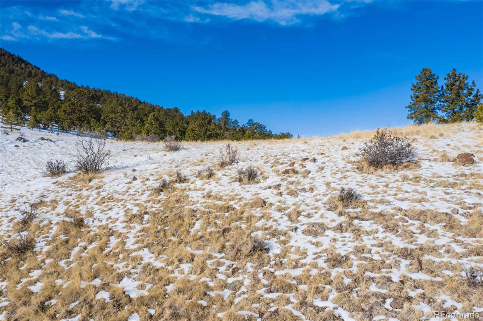 60 Witcher Mountain Road Guffey, CO 80820 - Photo 20 of 25 Gallery Image 20