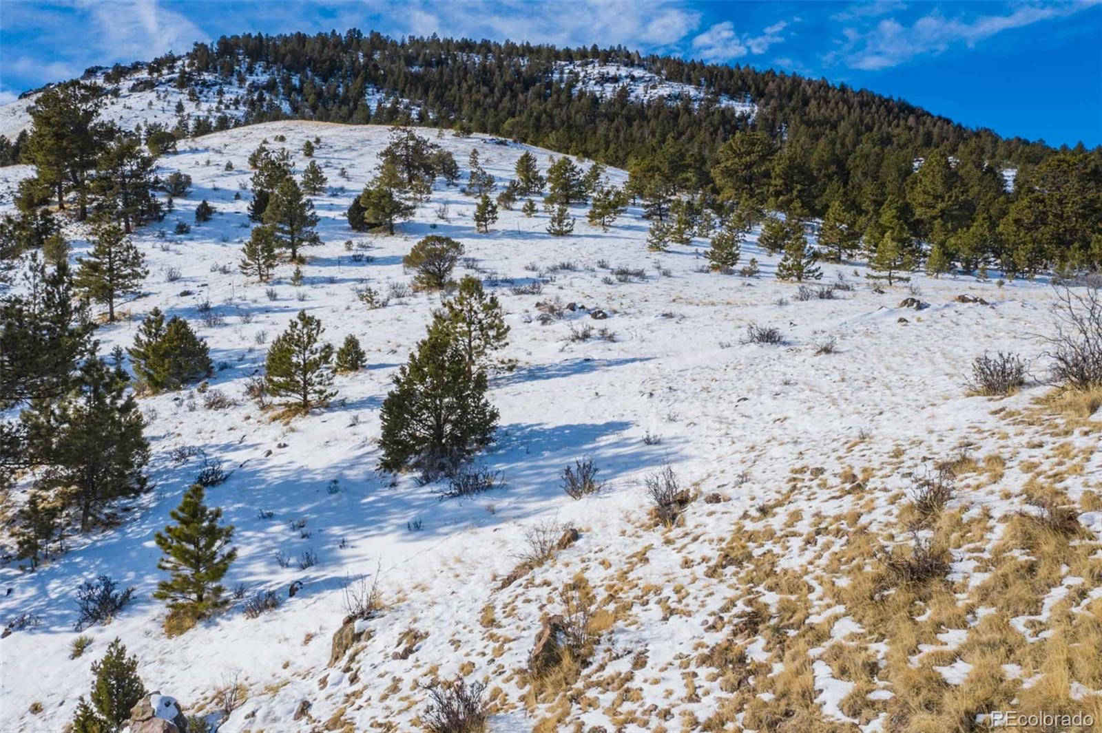 60 Witcher Mountain Road Guffey, CO 80820 - Photo 23 of 25 Gallery Image 23