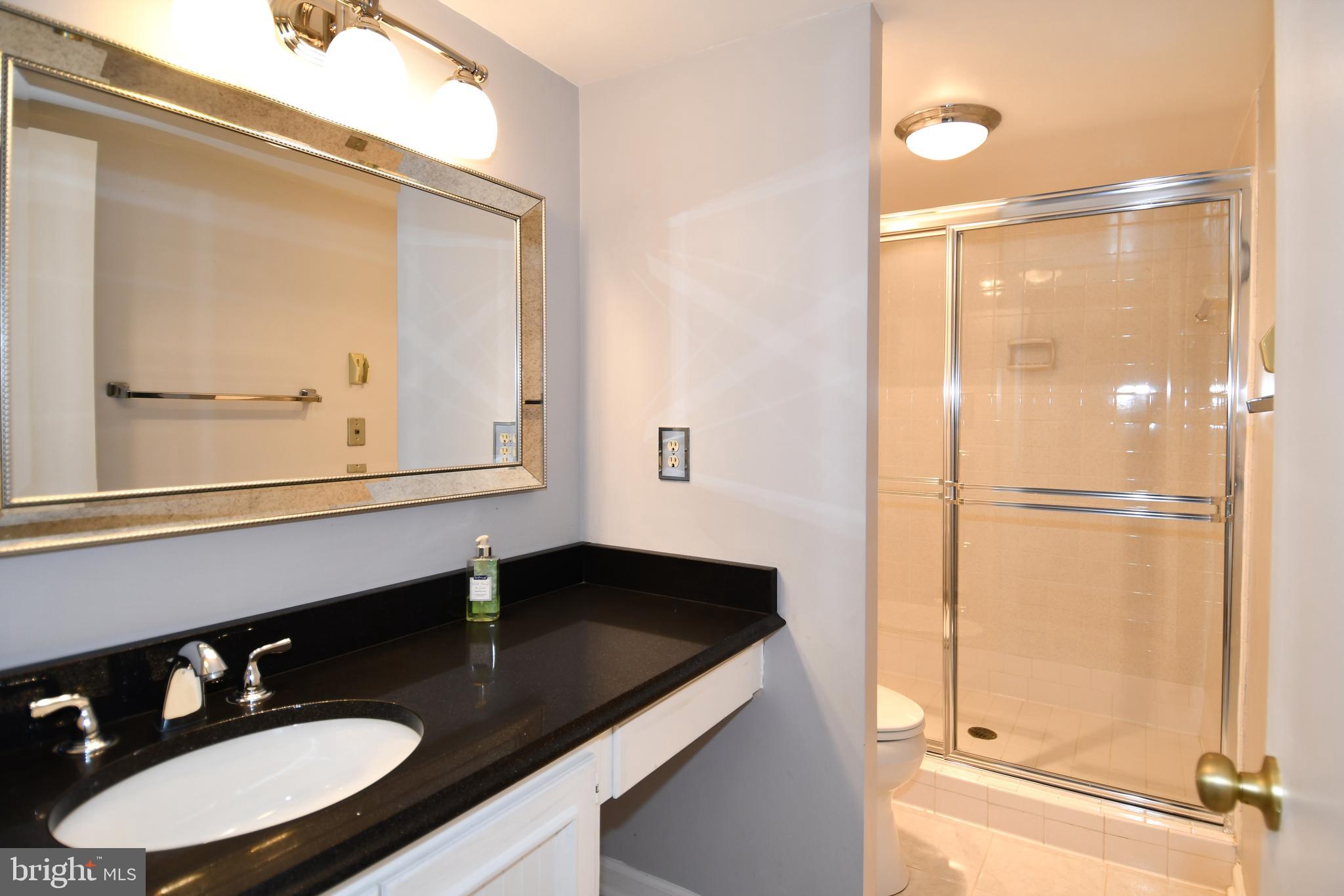 1101 South Arlington Ridge Road, Unit 316 Arlington, VA 22202 - Photo 28 of 75 a bathroom with a granite countertop sink a mirror and a shower