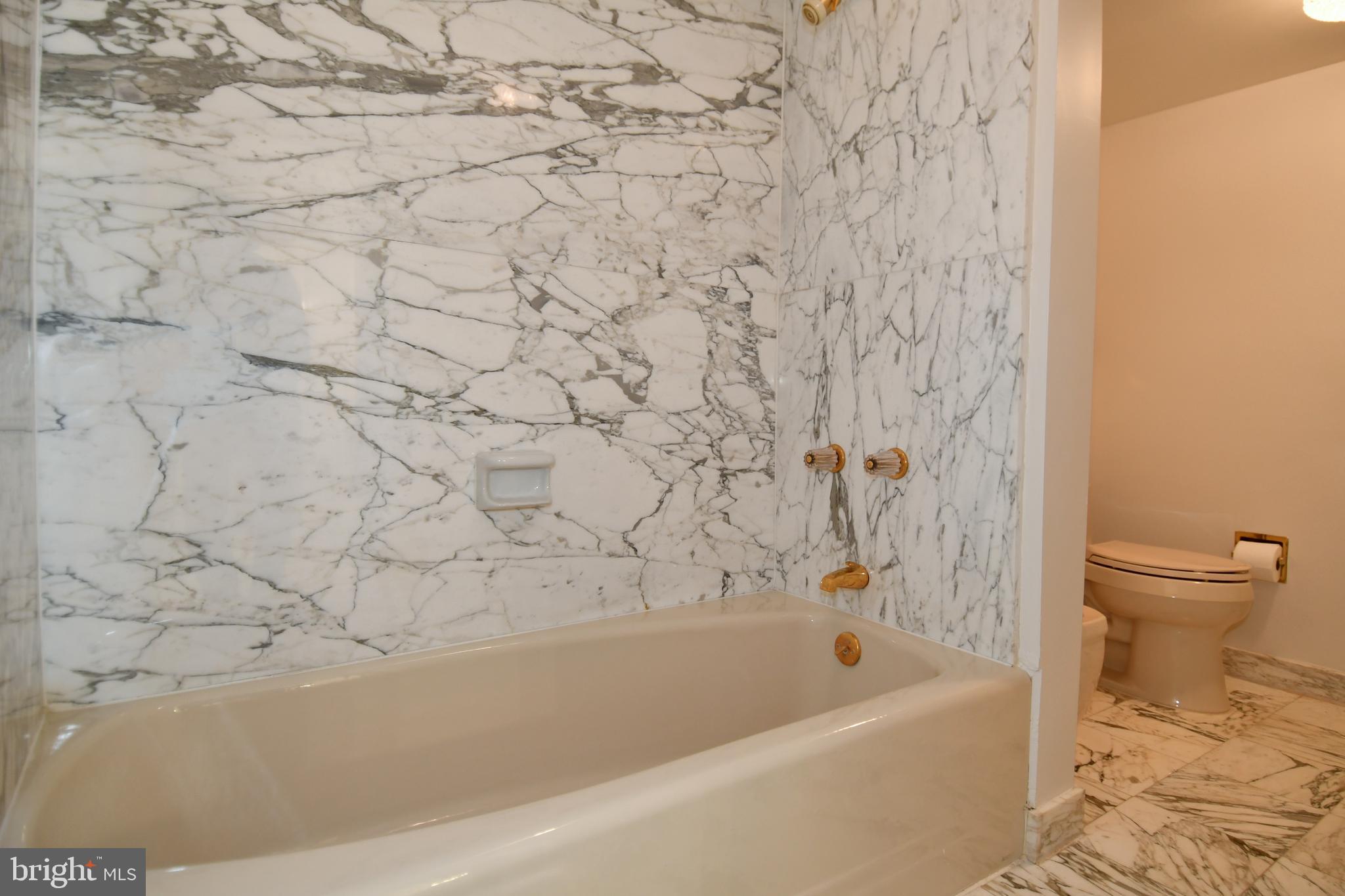 1101 South Arlington Ridge Road, Unit 316 Arlington, VA 22202 - Photo 37 of 75 Master Bath