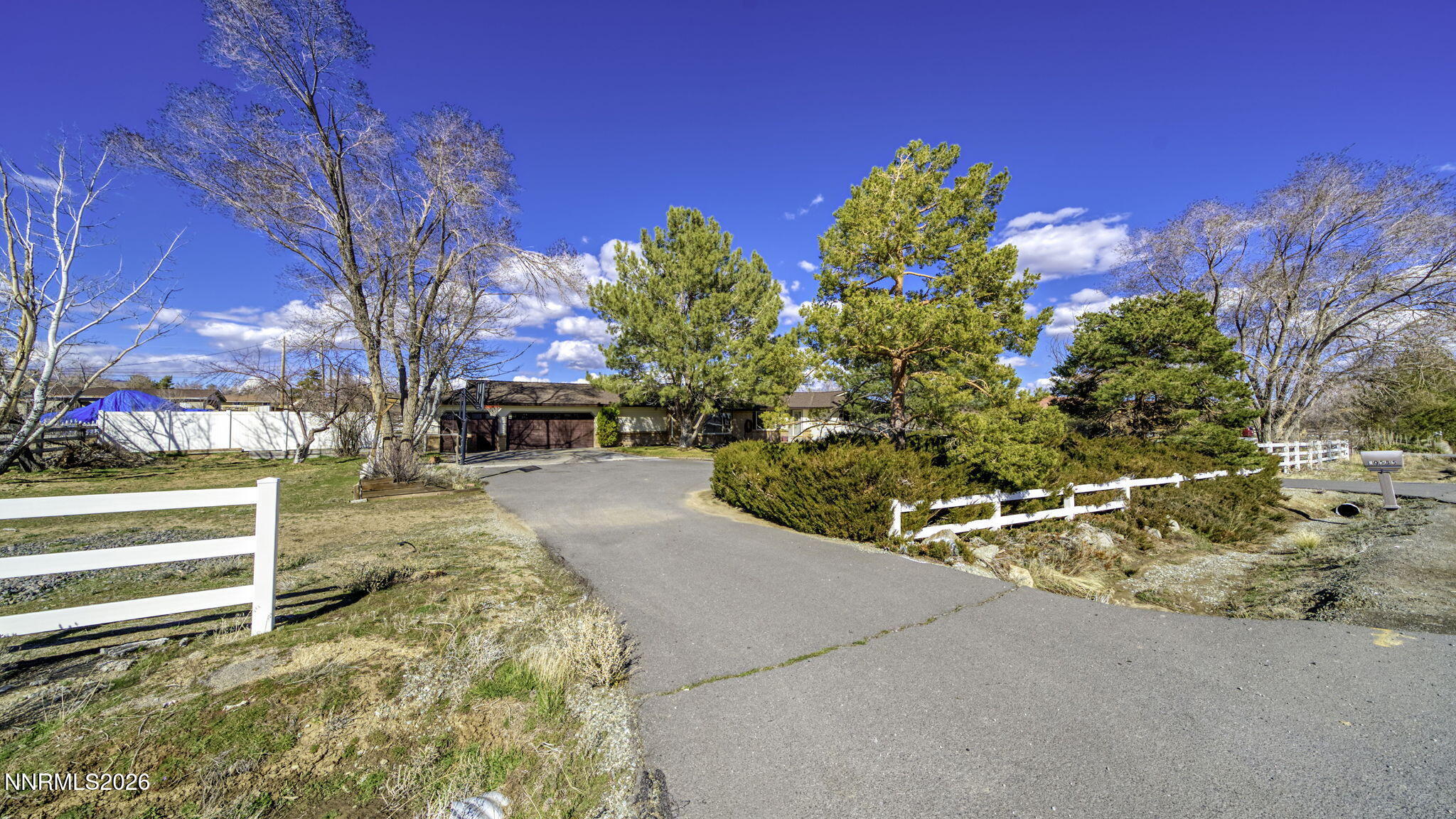 10585 Silver Knolls Boulevard Reno, NV 89508 - Photo 34 of 50 a view of a yard with flower plants