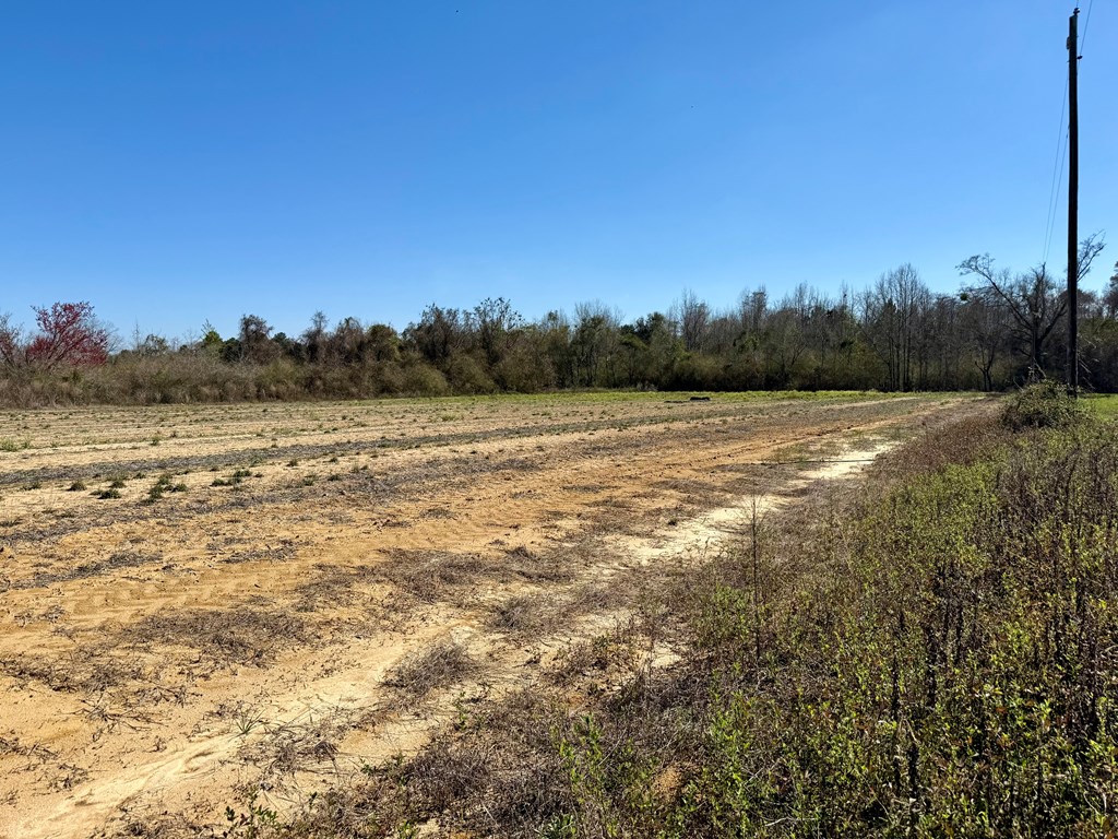 2.5-acres Garrett Road Ashford, AL 36312 - Photo 3 of 9