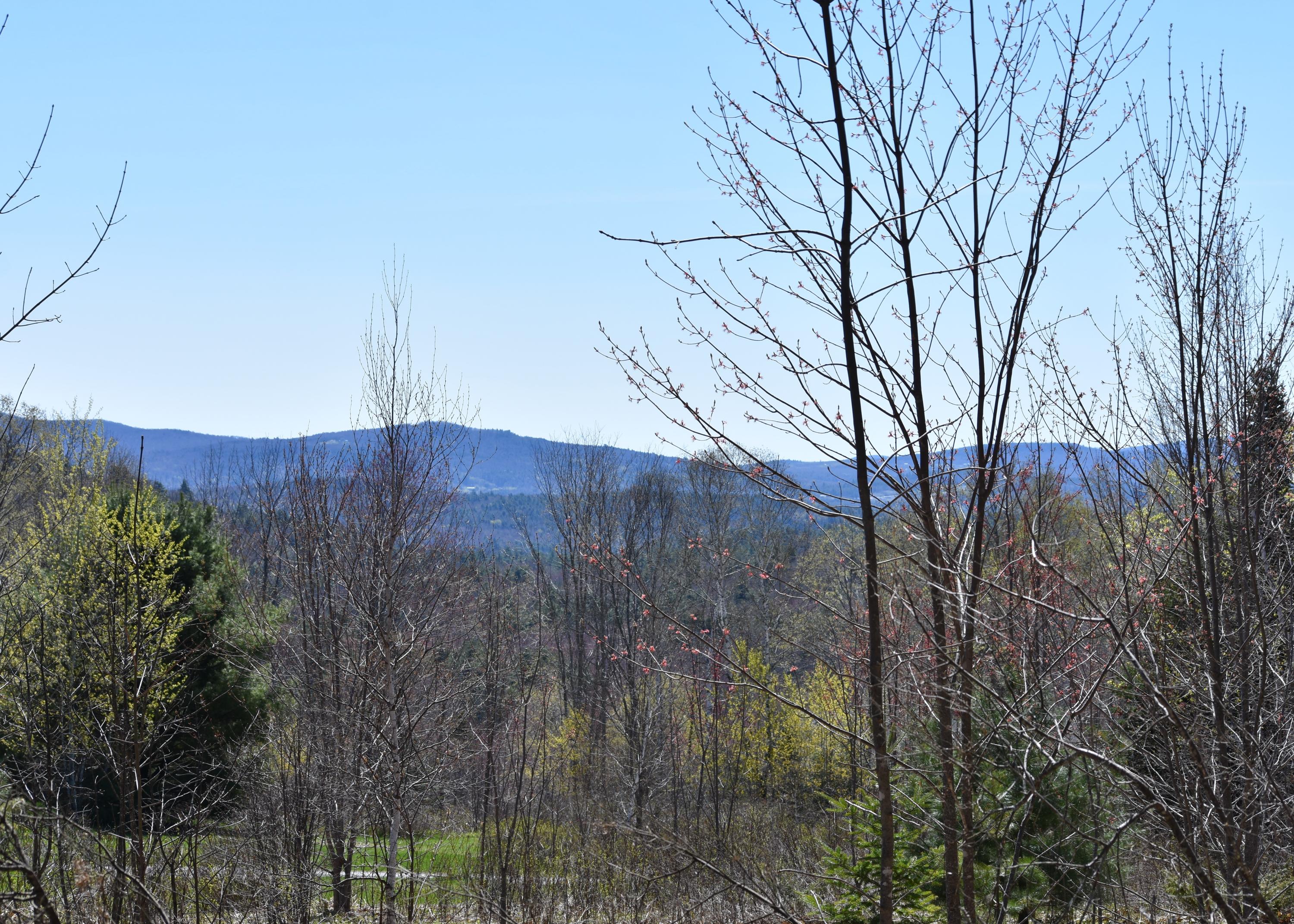 53 Twitchell Road Bryant Pond, ME 04219 - Photo 1 of 32 DSC_0166