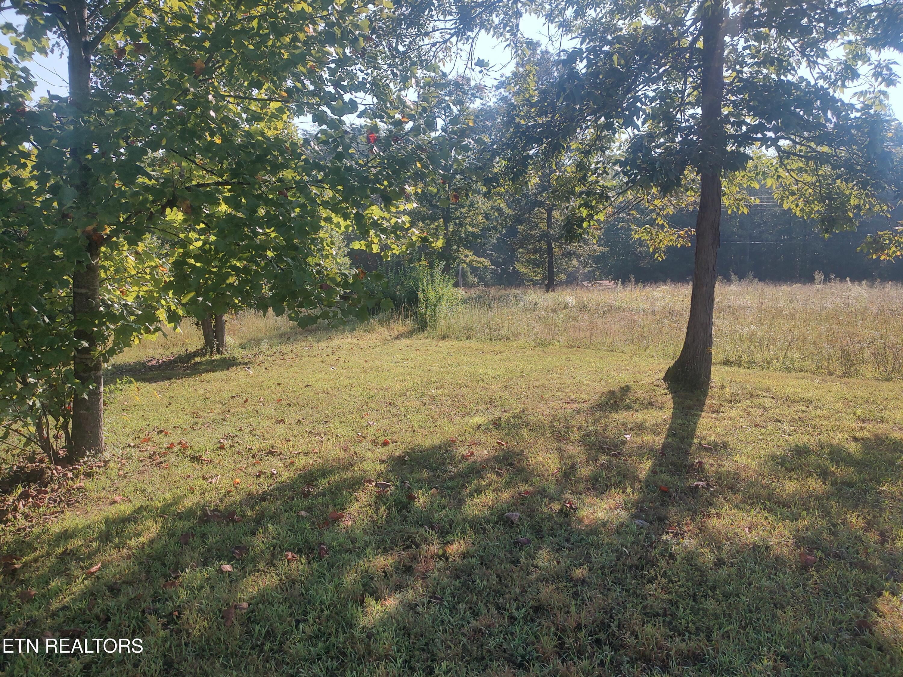106 Swafford Road Spring City, TN 37381 - Photo 14 of 46 1000021975