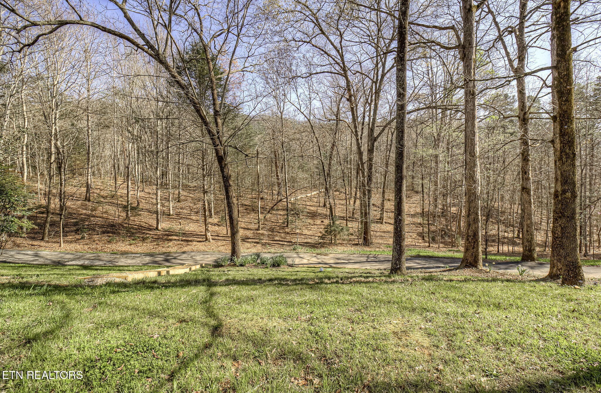 3458 Allegheny Loop Road Maryville, TN 37803 - Photo 54 of 60 Gallery Image 54