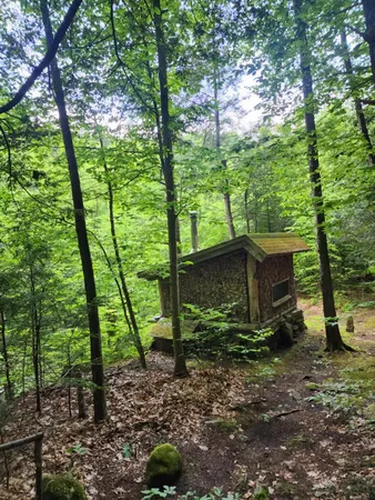 $380,000 | 183 Bear Hill Road, Dummerston, VT 05301