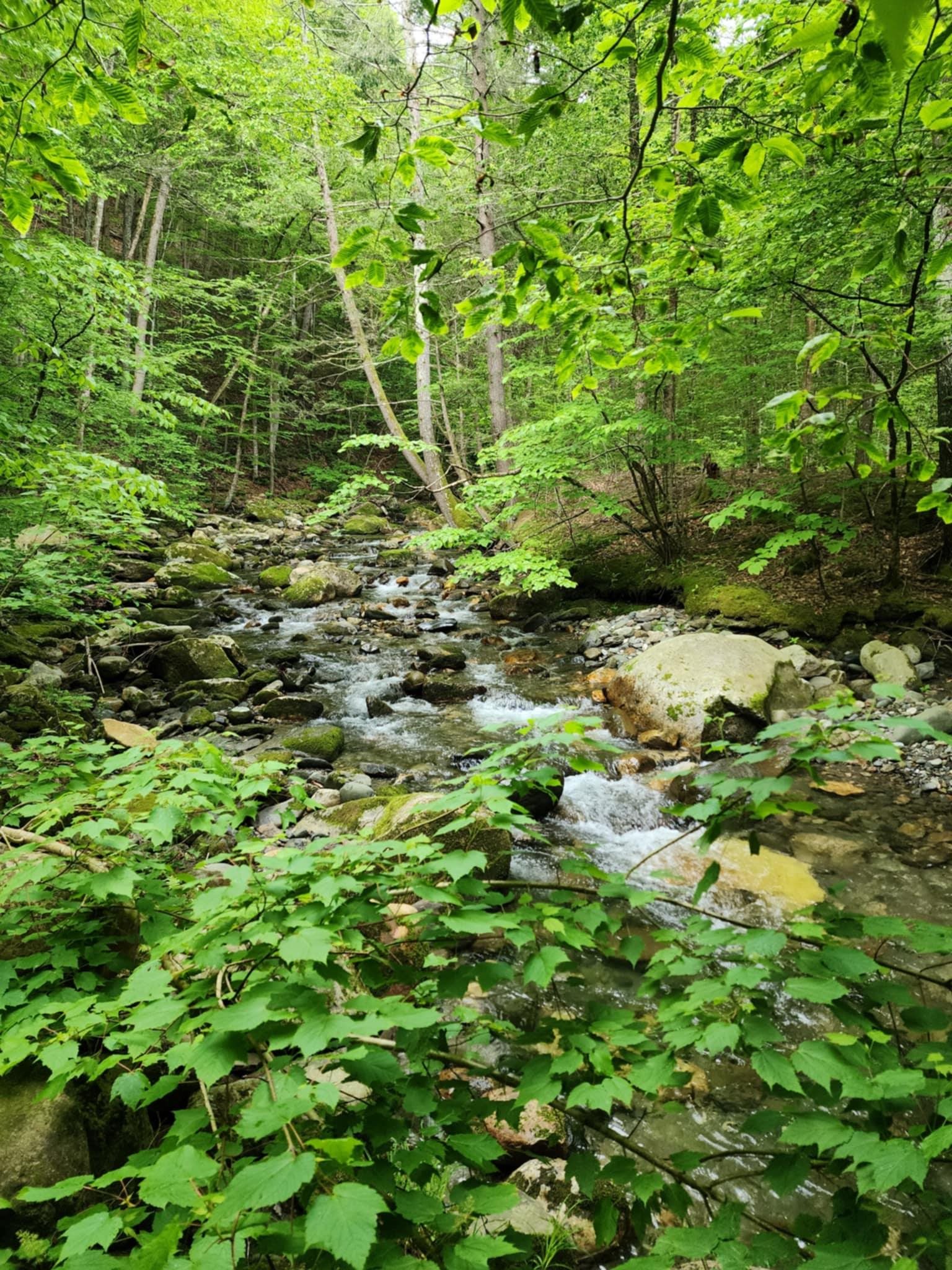 183 Bear Hill Road Dummerston, VT 05301 - Photo 44 of 48