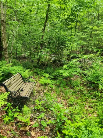 $380,000 | 183 Bear Hill Road, Dummerston, VT 05301