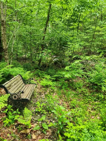 $380,000 | 183 Bear Hill Road, Dummerston, VT 05301