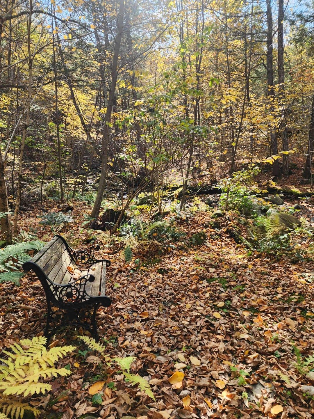 183 Bear Hill Road Dummerston, VT 05301 - Photo 47 of 48