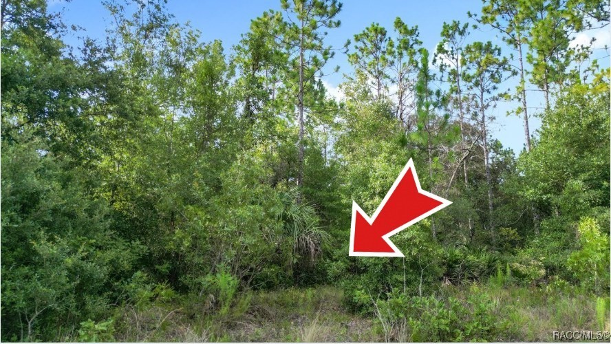 10488 West Dunnellon Road Crystal River, FL 34428 - Photo 10 of 10 Gallery Image 10
