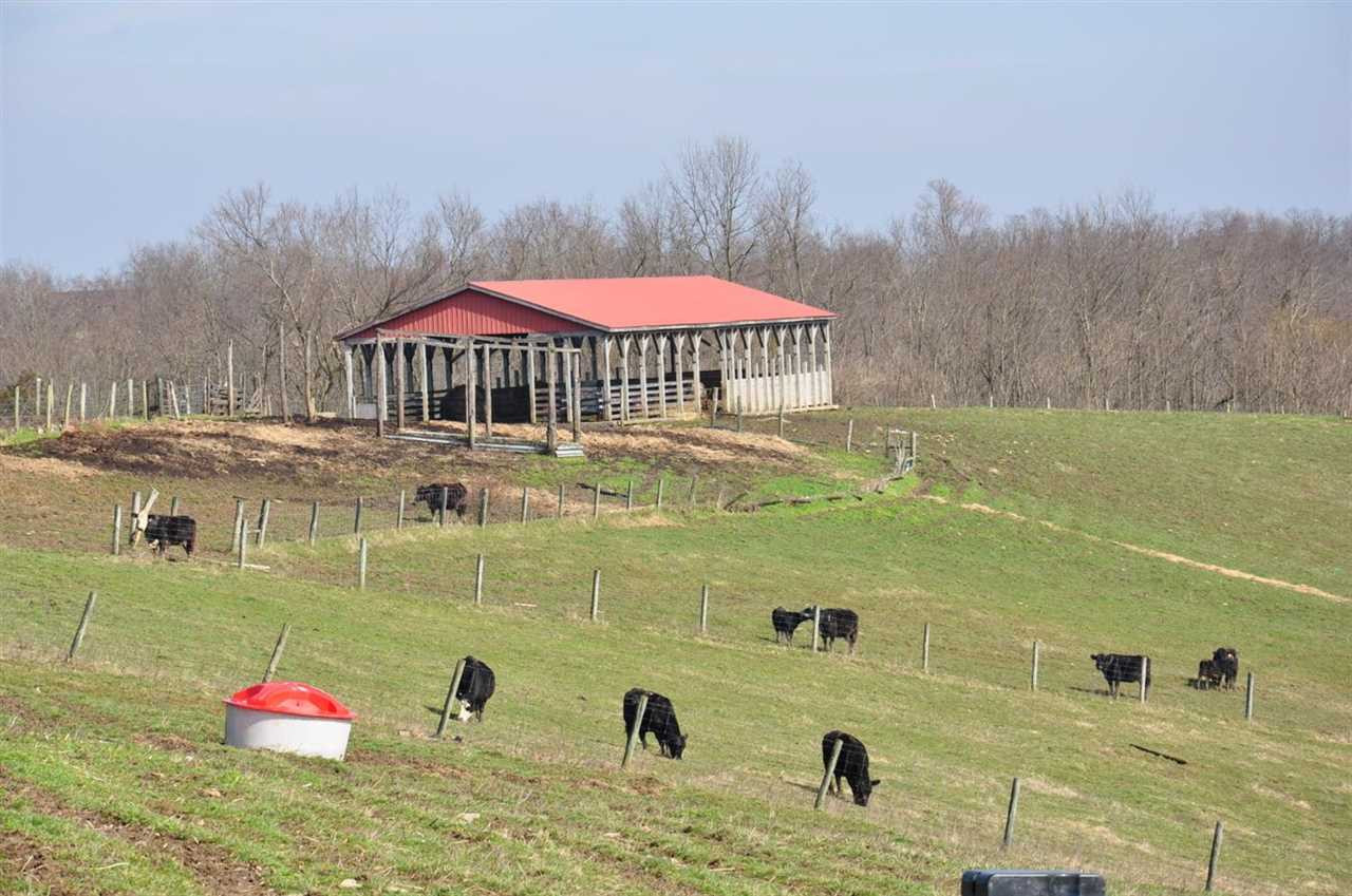 1499 Cane Run Road Carlisle, KY 40311 - Photo 37 of 44 Gallery Image 37