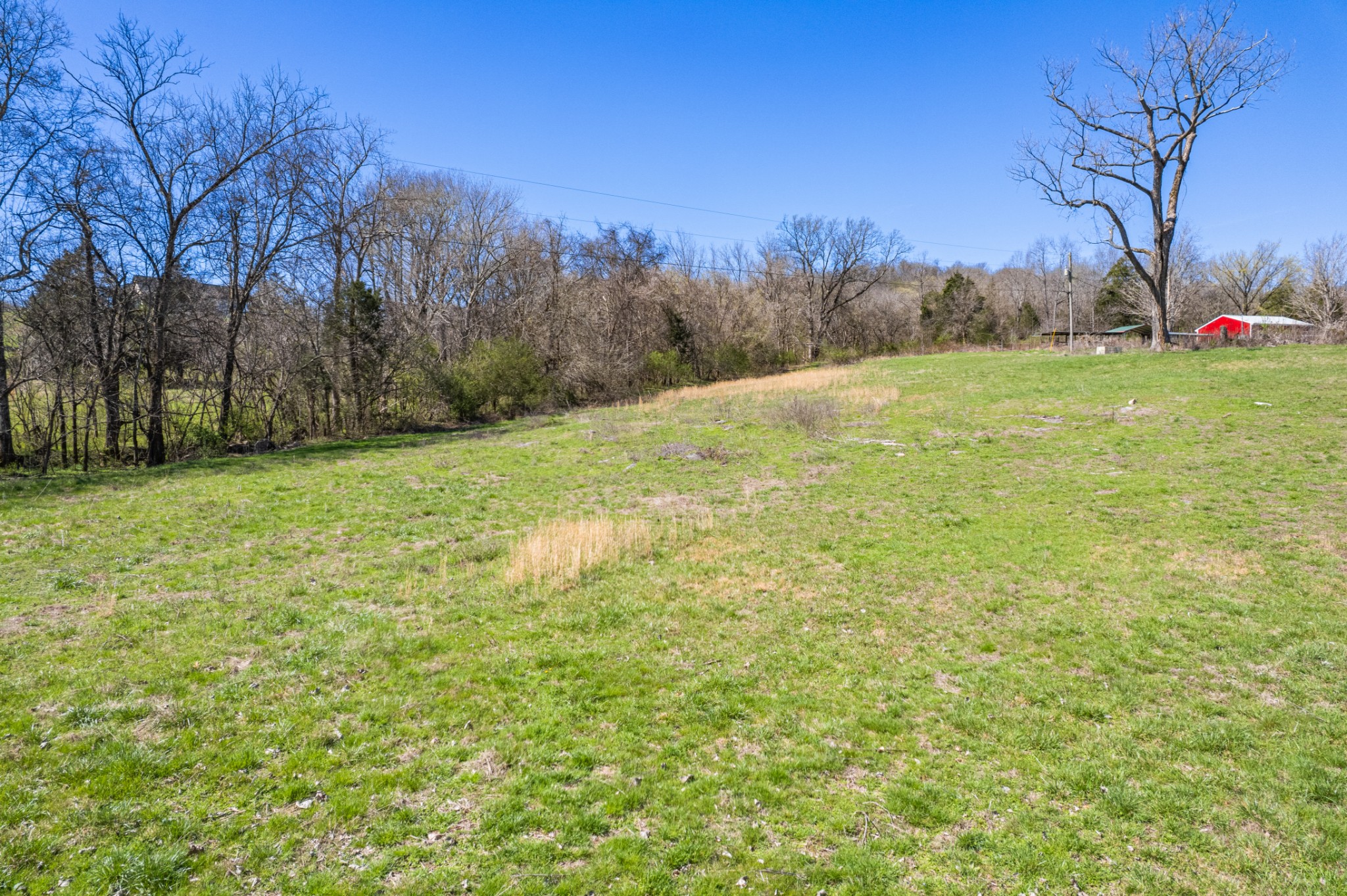 0 Dowell Branch Road Columbia, TN 38401 - Photo 52 of 60 Gallery Image 52