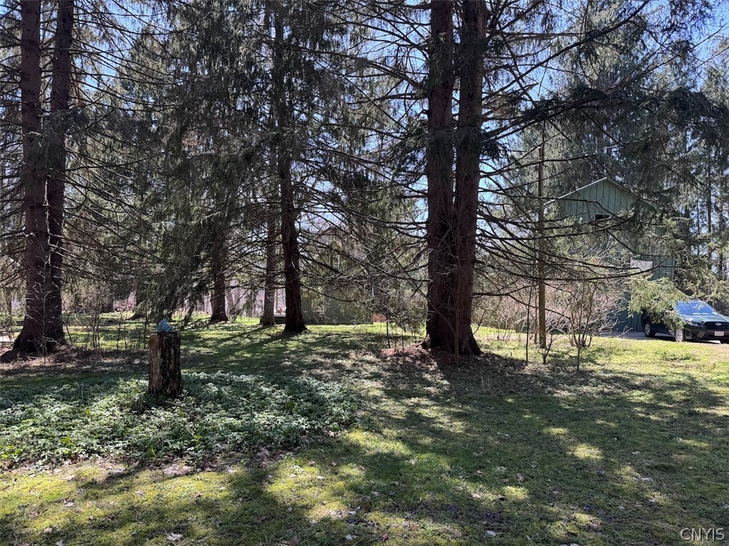 83 High Street Angelica, NY 14709 - Photo 28 of 35