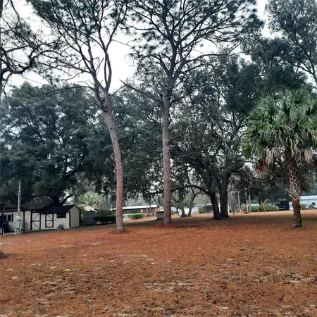 a view of outdoor space with trees