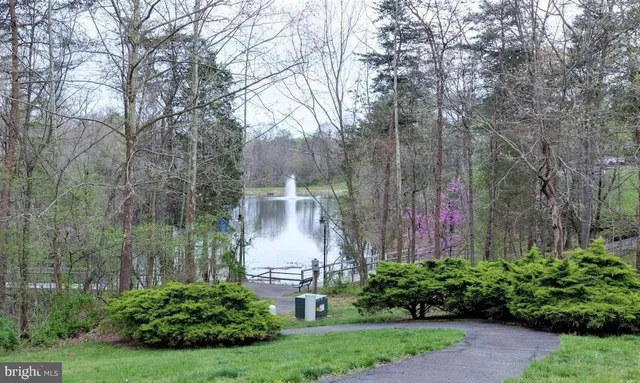a view of a back yard