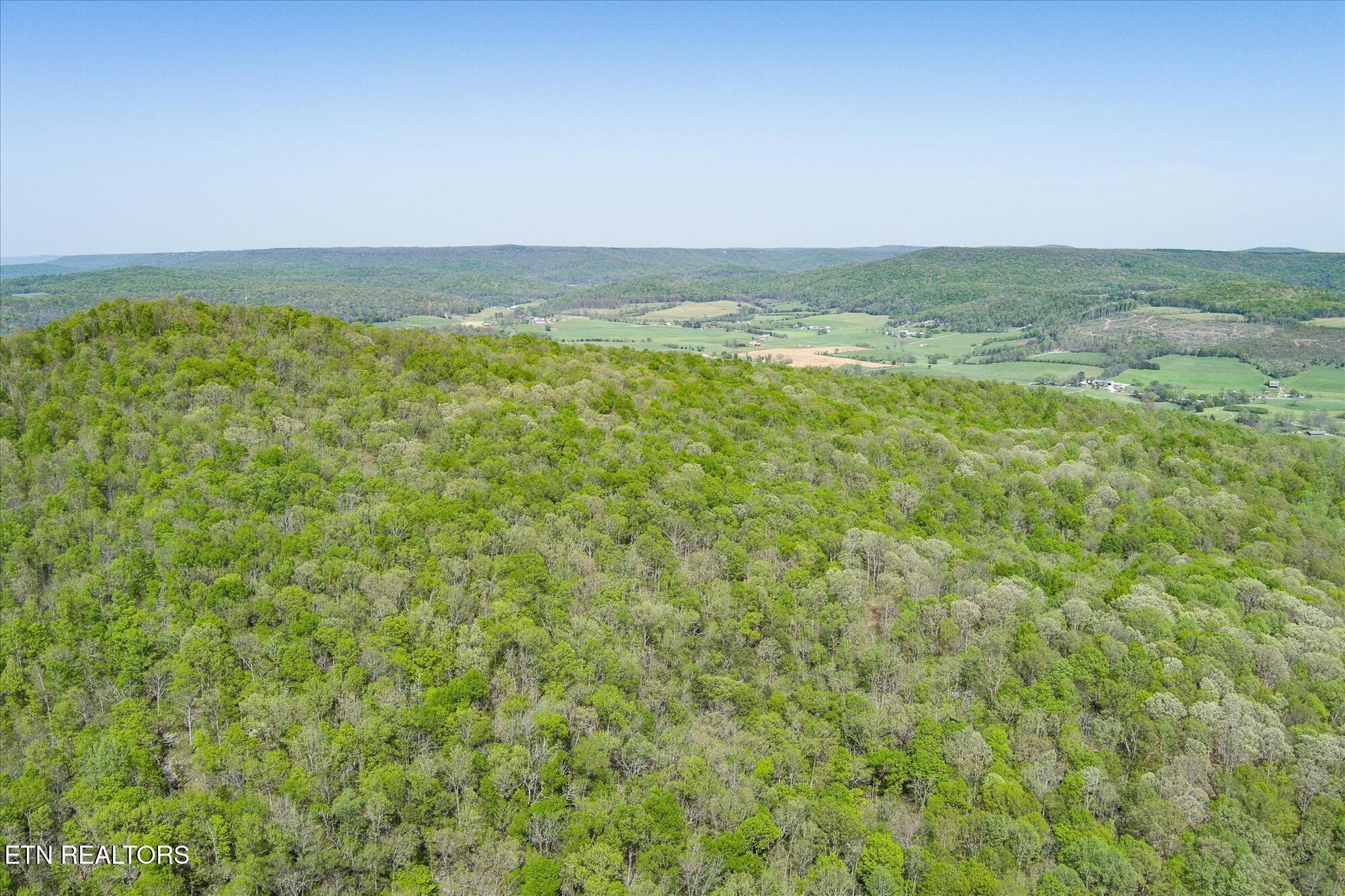 0 Fire Tower 12.2 Ac Road Sparta, TN 38583 - Photo 6 of 10 Gallery Image 6