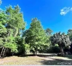 $16,000 | 0 Hwy 40 E Inglis East, Inglis, FL 34449